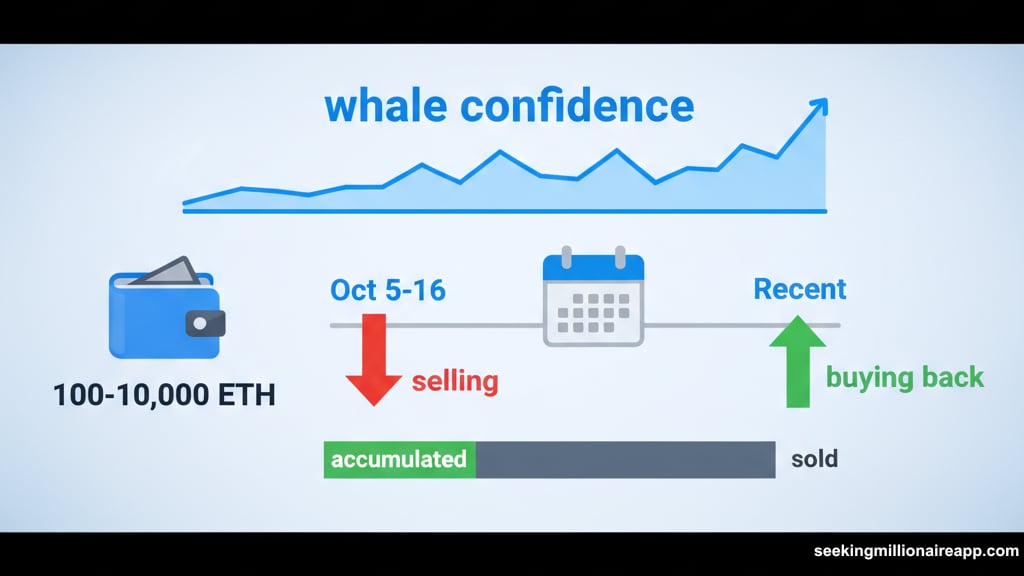 Whales bought back one-sixth of Ethereum they previously sold