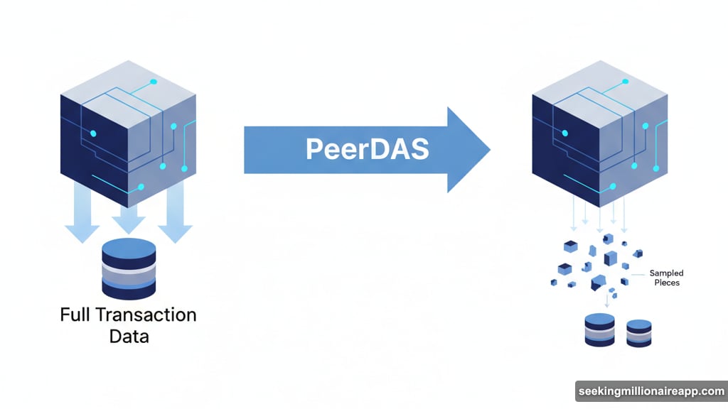 Validators sample smaller pieces to verify blocks instead of downloading everything