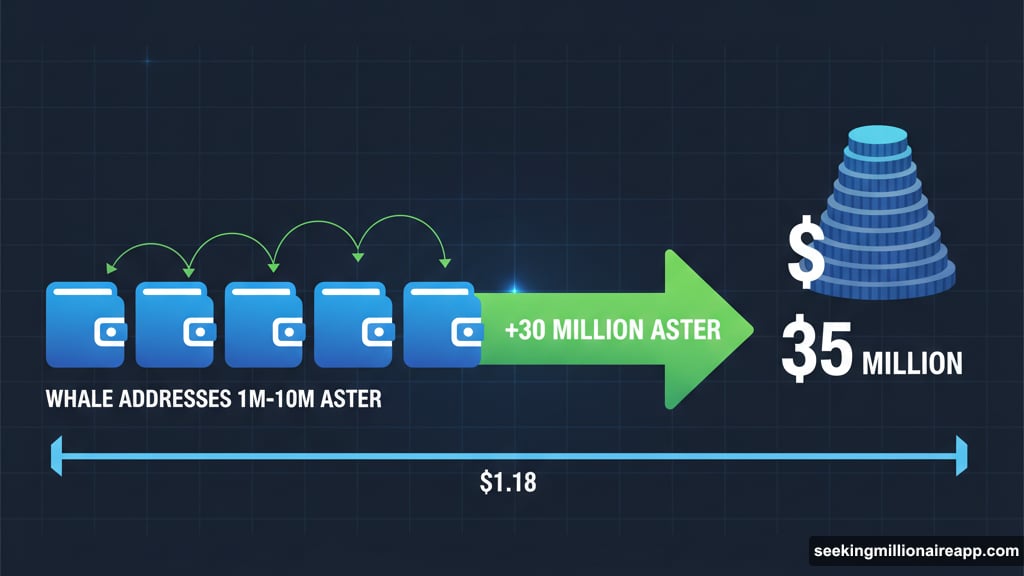 Large holders accumulated thirty million tokens providing crucial price support
