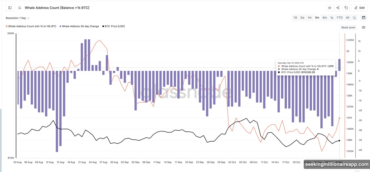 Whale wallets holding 1,000 to 10,000 BTC accumulating again