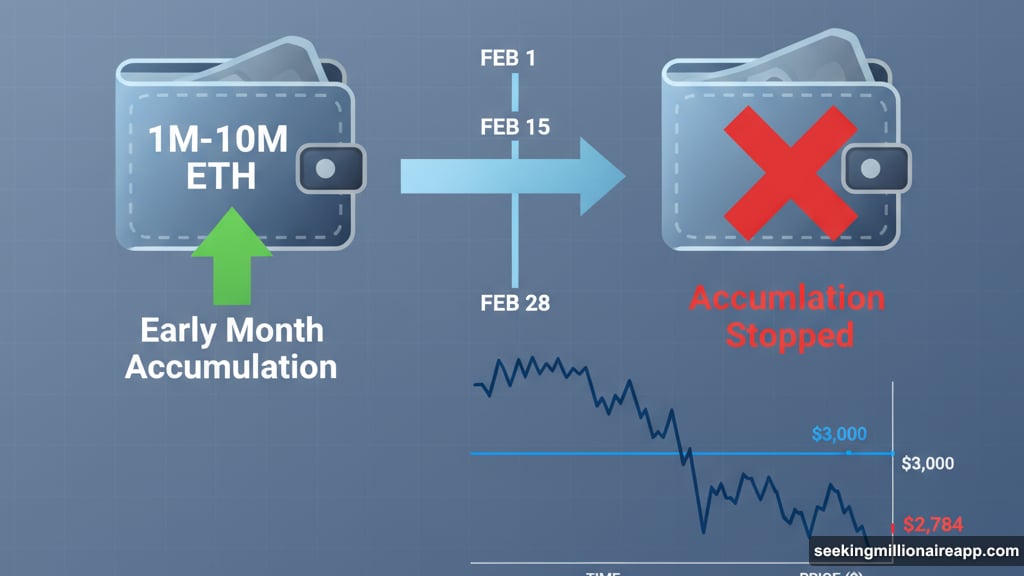 Whale accumulation stalls as Ethereum breaks critical support levels