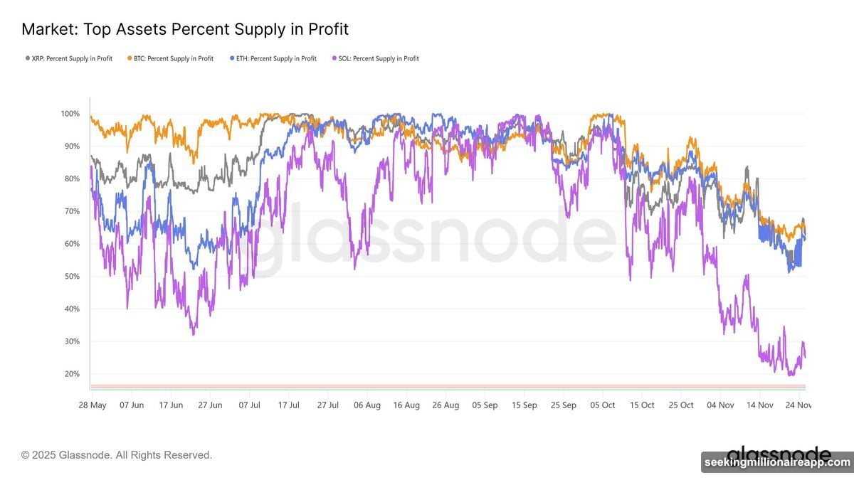 Percent Supply in Profit metric shows mounting losses for investors