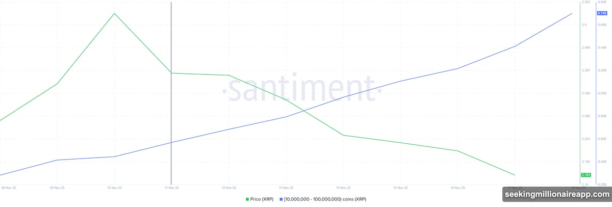 Whale wallets accumulated over one billion XRP this week