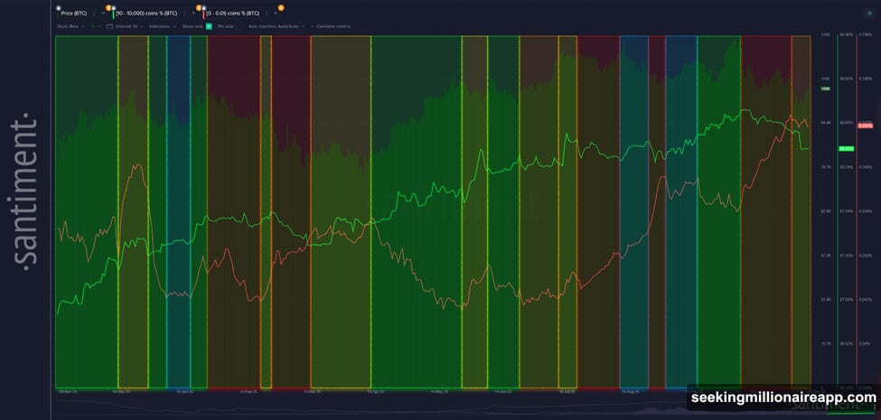 Bitcoin whale moves preceded every major rally on Santiment chart