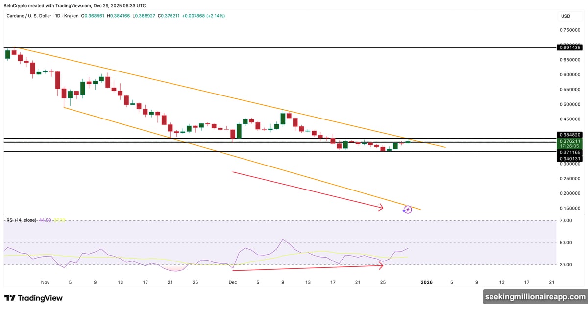 RSI bullish divergence triggered rally as whales accumulated coins