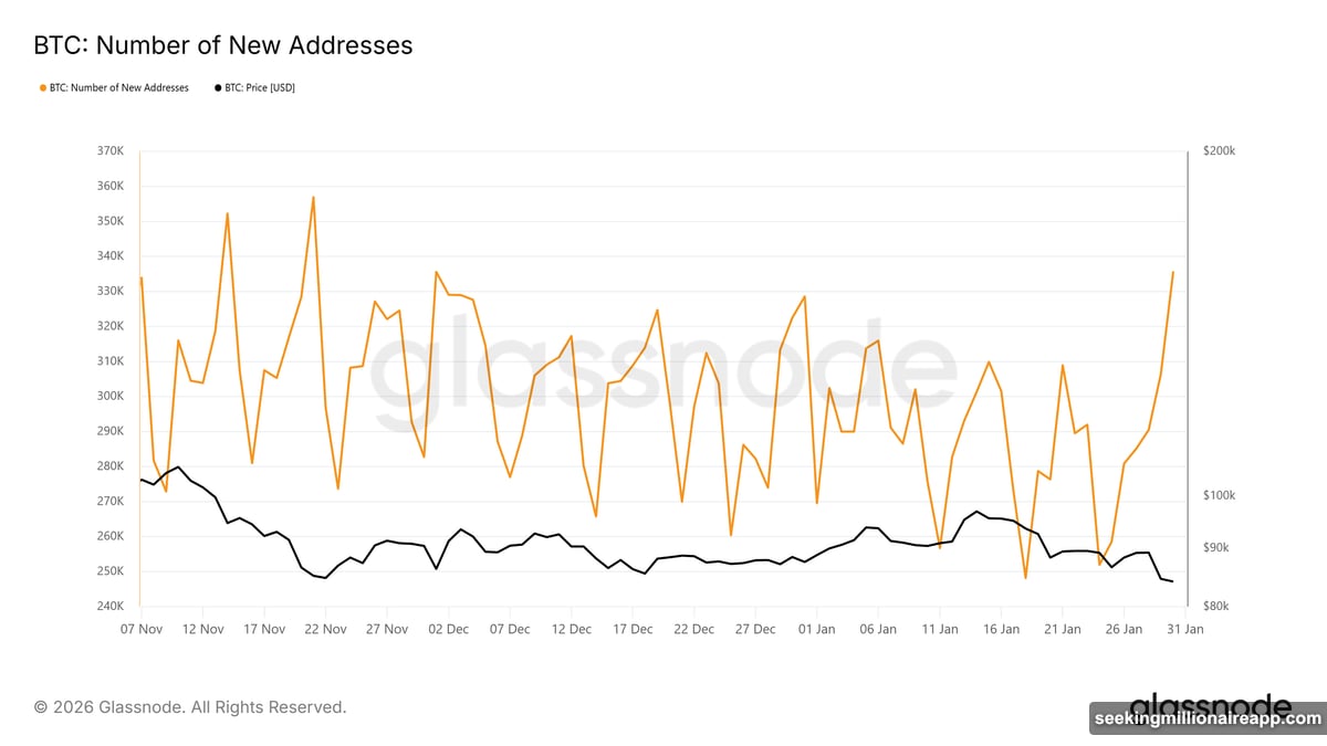 Bitcoin added 335,772 new addresses in just 24 hours