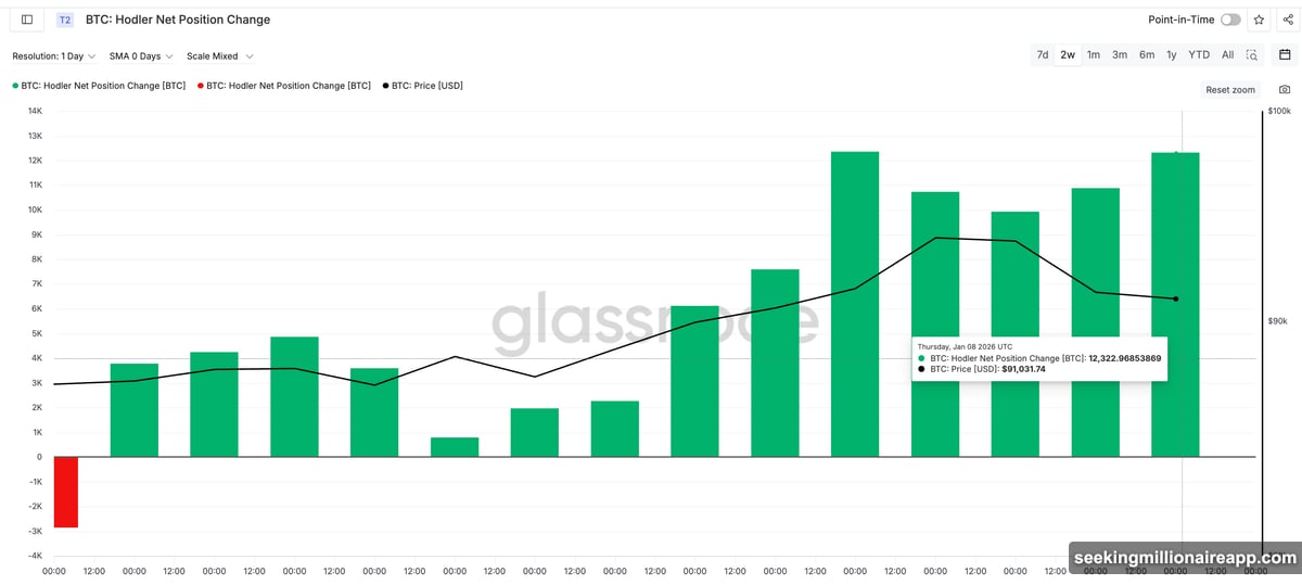 Long-term holders accumulated 2,400 BTC during price weakness