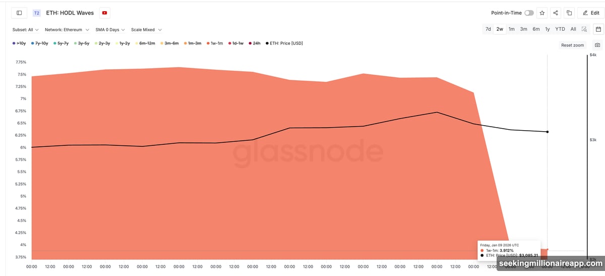 Short-term holders dumped 47% of supply between January 6-9