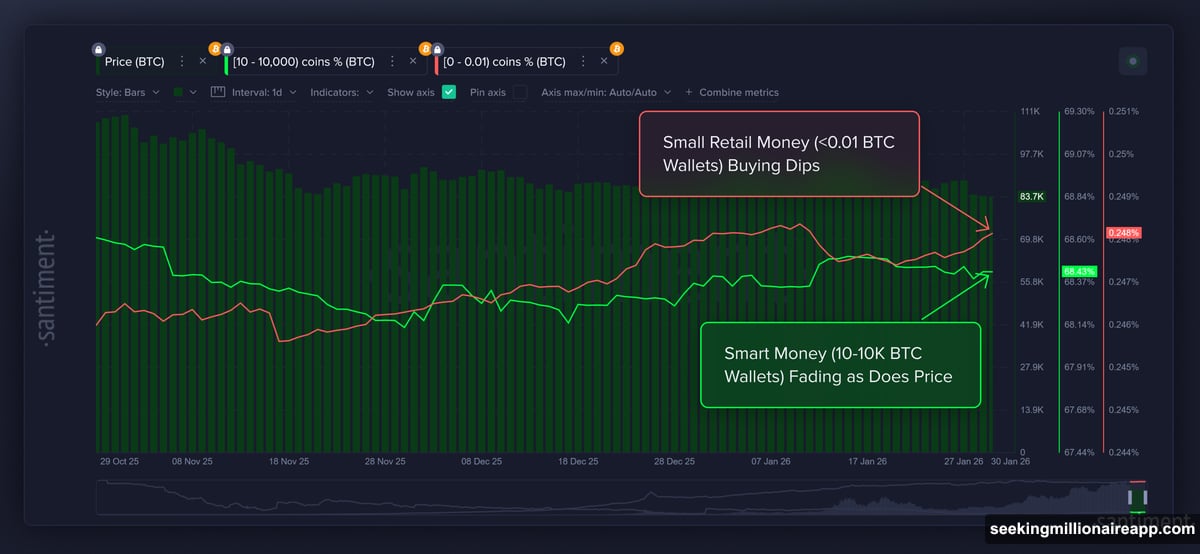 Small wallets accumulate while large whales distribute and sell Bitcoin