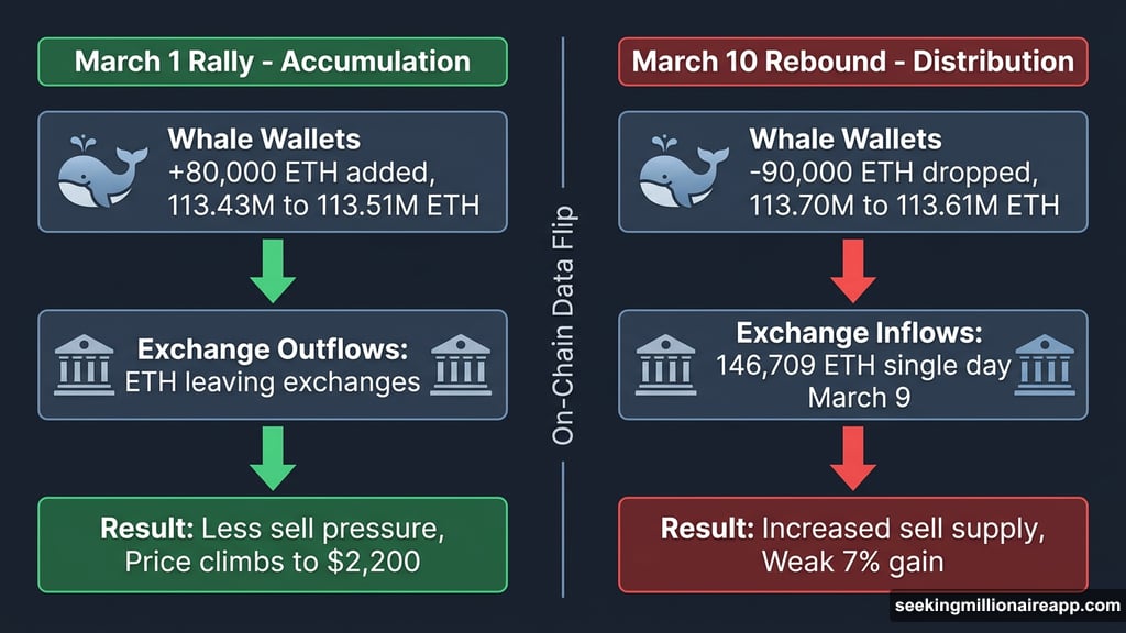 Whale wallets and exchange inflows flip script on Ethereum rebound