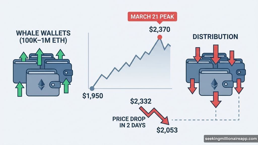 Whale wallets sold into the March rally peak causing 13% correction