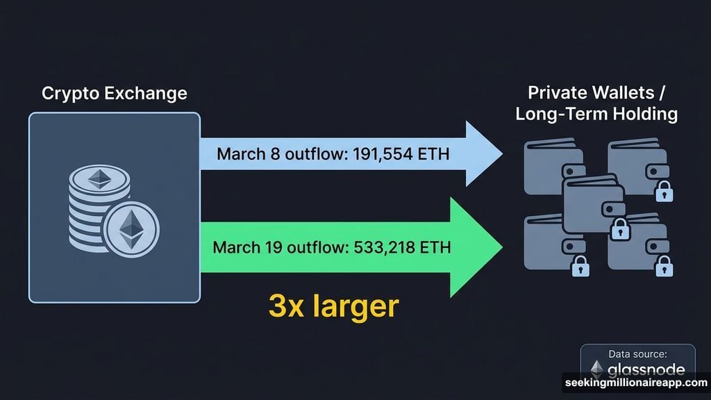 Ethereum net exchange outflow triples to 533,218 ETH signaling spot accumulation
