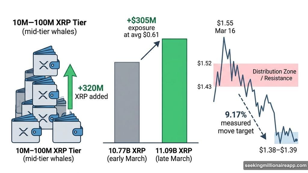 XRP whale wallets accumulate 500 million coins while distribution zone resists recovery