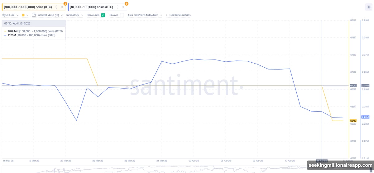 Bitcoin whale cohorts offload over 36,000 BTC tracked by Santiment