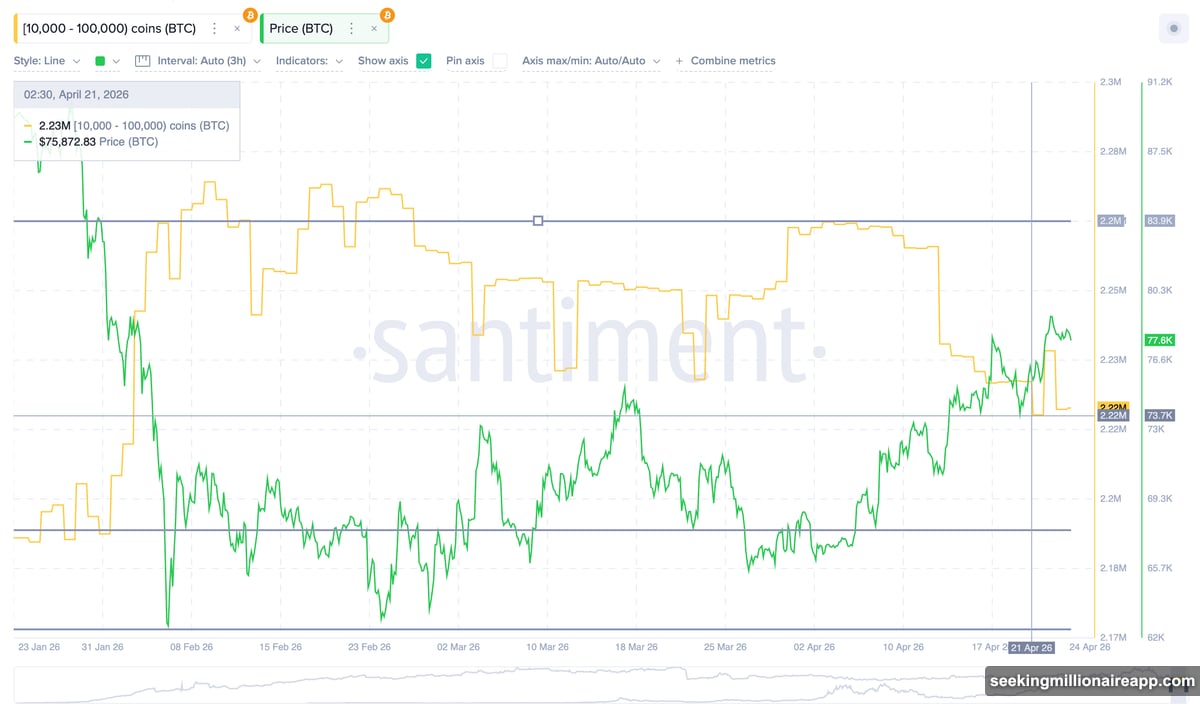Bitcoin whale accumulation triggered by 20-period EMA crossing 200-period EMA