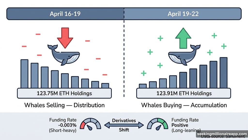 Ethereum whale accumulation rose from 123.75M to 123.91M ETH